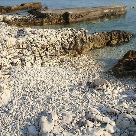 Flora Rogoznica (Sibenik-Knin)