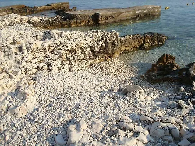 Flora Rogoznica (Sibenik-Knin)