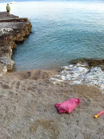 Flora Rogoznica (Sibenik-Knin)